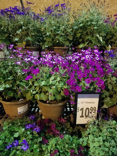 Supermarket «Save Mart Supermarkets», reviews and photos, 1059 C St, Galt, CA 95632, USA