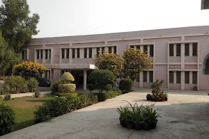 IBA Public School Sukkur image