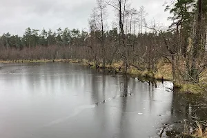 Jezioro Dołgie Małe - punkt widokowy image