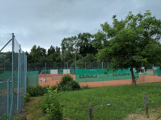 Tennis courts Zurich
