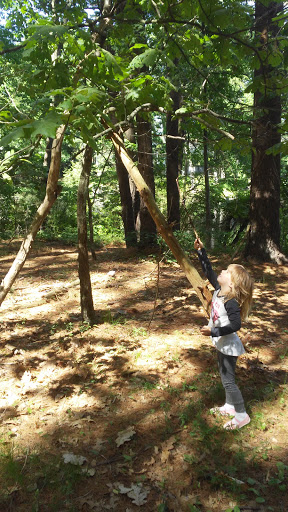 Nature Preserve «Gummere Woods And Marsters Preserve Trail», reviews and photos, 4 Wheeler Rd, North Grafton, MA 01536, USA