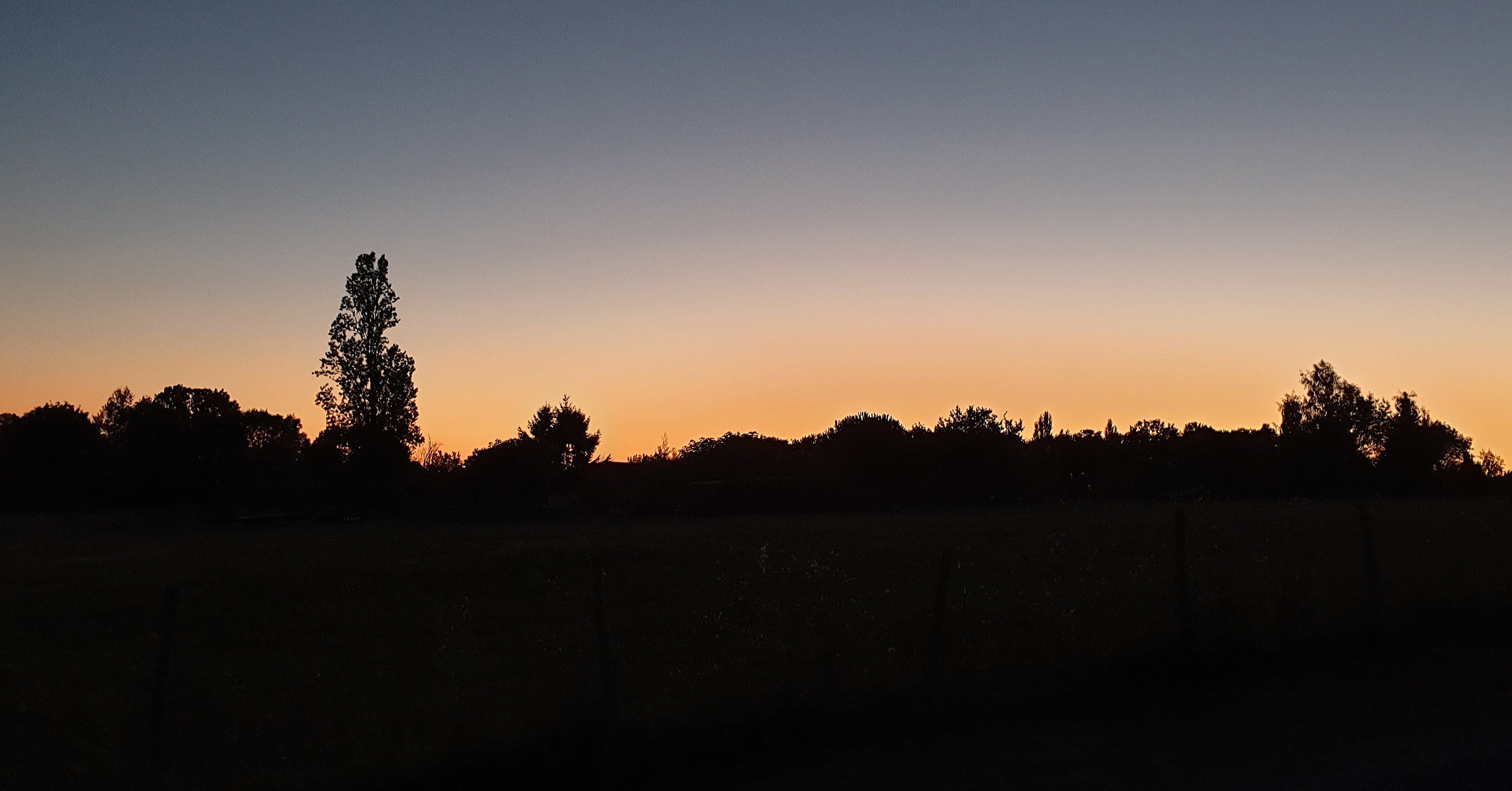 Photo n° 3 de l'avis de sandrine.R fait le 10/07/2018 à 07:48