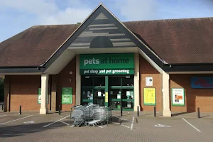 Pets at Home Wokingham image