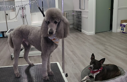 Pupper City Dog Grooming