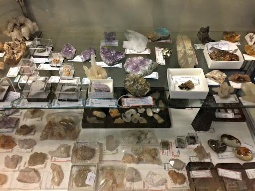 Thrift Store «Black Sheep Thrift Shop», reviews and photos, 323 Drum Point Rd, Brick, NJ 08723, USA