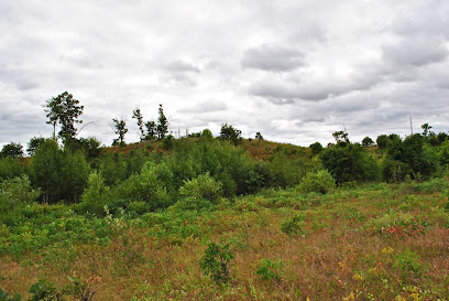 Sterling Barrens State Natural Area