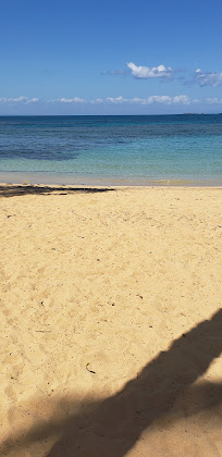 Les plus récentes hôtels Playa Las Ballenas 32000 Las Terrenas