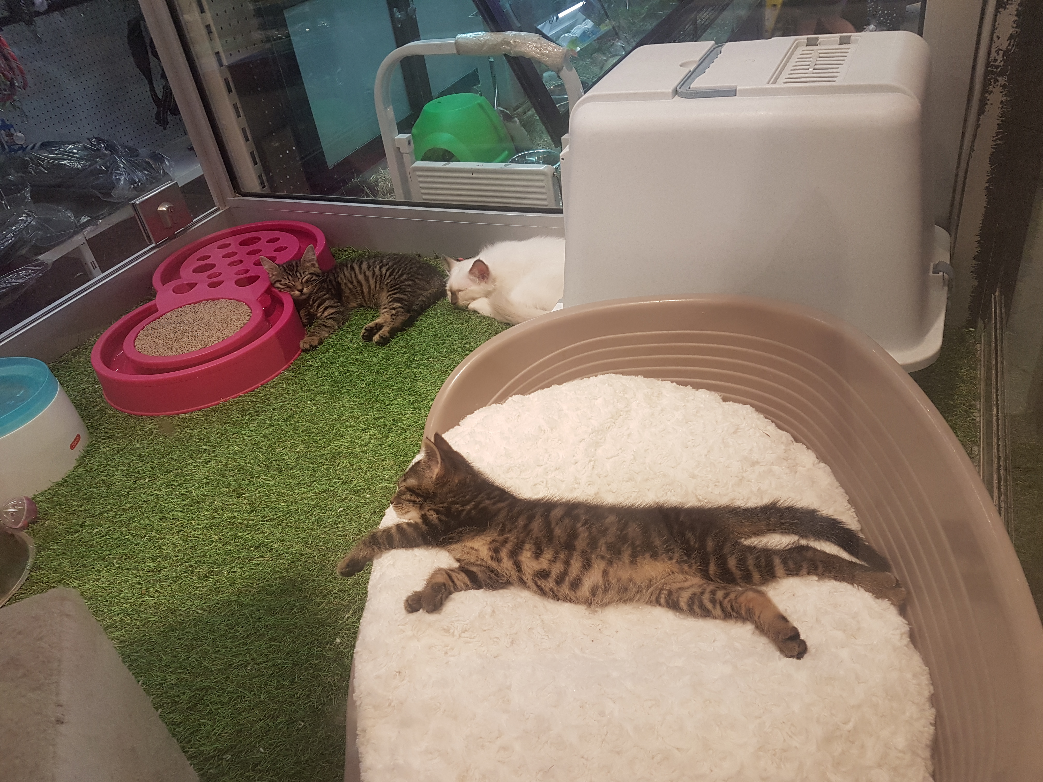 Photo n° 3 de l'avis de Jerome.a fait le 24/07/2018 à 09:52