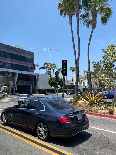 LA VIP Tours image