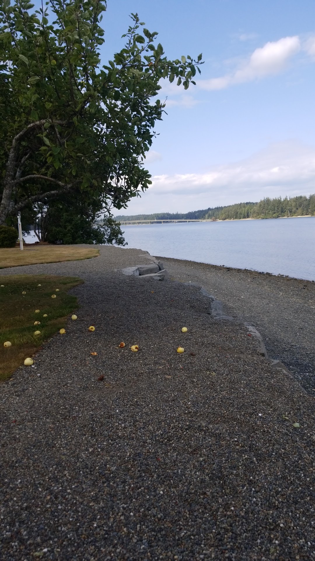 Olympia Yacht Club