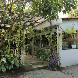 Hutan Hujan (Coffee Shop)
