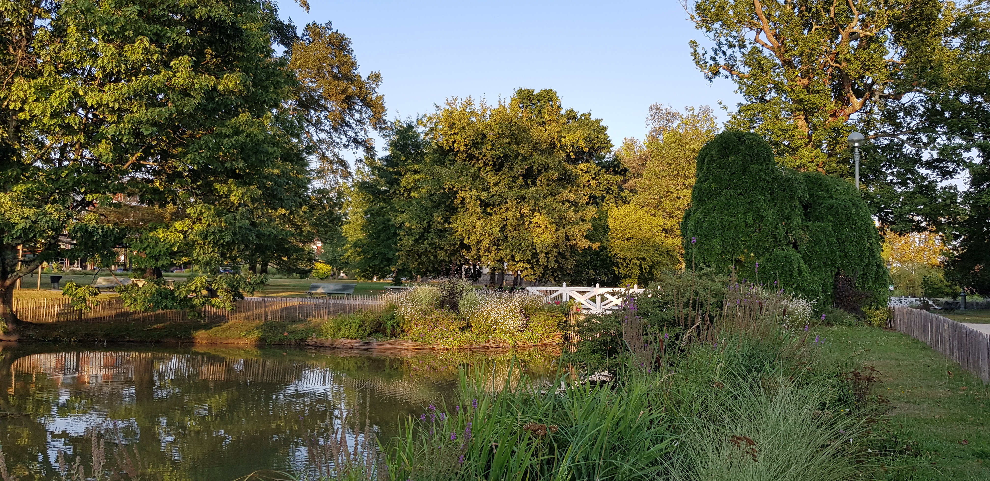 Photo n° 1 de l'avis de Gwenns. fait le 15/08/2020 à 06:50