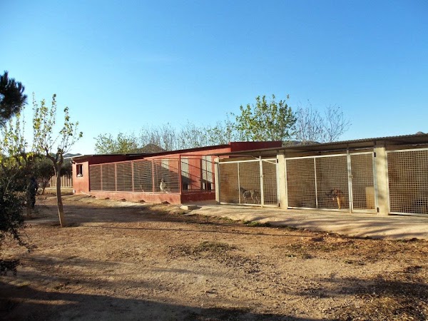 Imagen de Residencia Canina Animalia (5 de 12)