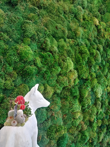 Interior Plant Service «Plant The Future, Inc.», reviews and photos, 2511 NW 2nd Ave, Miami, FL 33127, USA