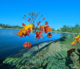 Laguna del Nainari photo