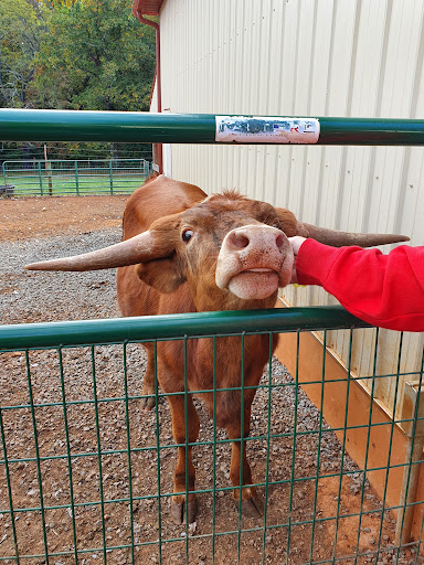 Grocery Store «Yoders Country Market», reviews and photos, 2105 S Seminole Trail, Madison, VA 22727, USA
