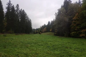 Thüringer Wald image