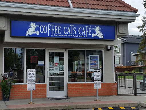 Coffee Cats Cafe