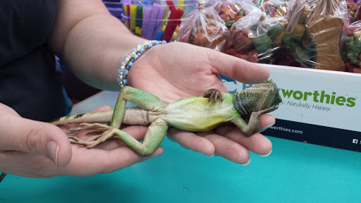 Pet Supply Store «House of Pets Inc», reviews and photos, 29500 Ford Rd, Garden City, MI 48135, USA