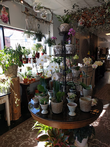 Florist «Providence Florist - Blooming Blossoms», reviews and photos, 780 Hope St, Providence, RI 02906, USA