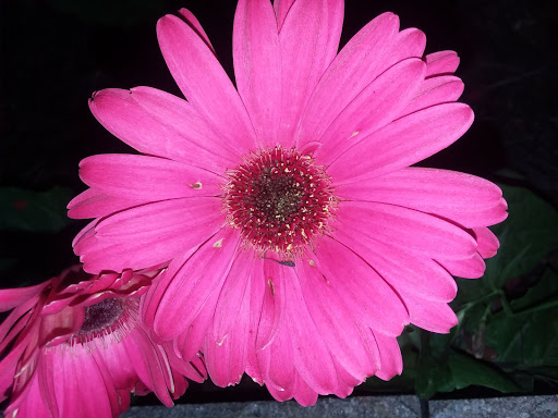 Park «Walter & Mary Burke Park», reviews and photos, 36300 Front St, New Baltimore, MI 48047, USA