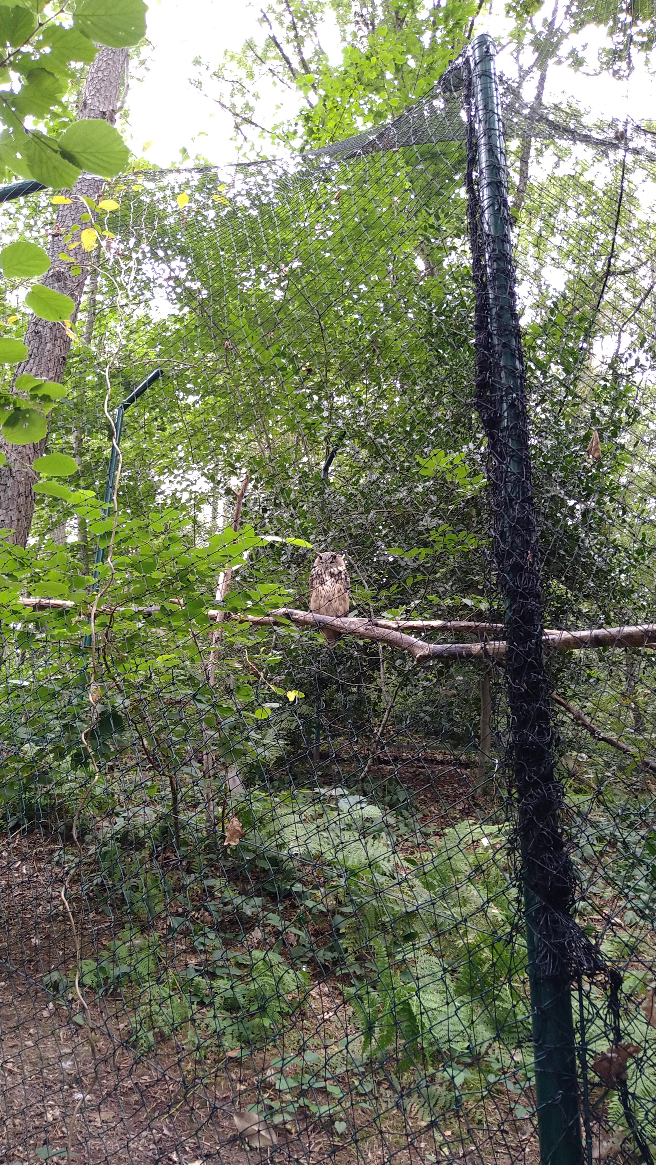 Photo n° 4 de l'avis de Marthijn.v fait le 27/08/2021 à 17:08