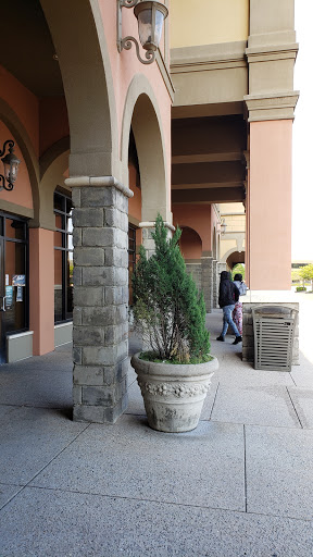 Movie Theater «Malco Paradiso», reviews and photos, 584 S Mendenhall Rd, Memphis, TN 38117, USA