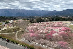 Inabe City Bairin Park image