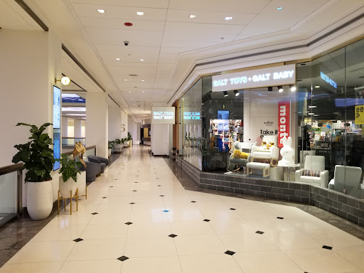 Shopping Mall «900 North Michigan Shops», reviews and photos, 900 N Michigan Ave, Chicago, IL 60611, USA