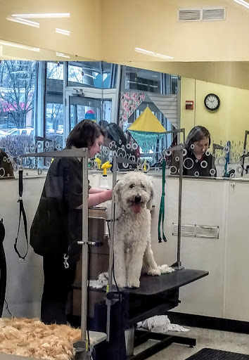 Pet Supply Store «Petco Animal Supplies», reviews and photos, 35 Fort Eddy Rd, Concord, NH 03301, USA