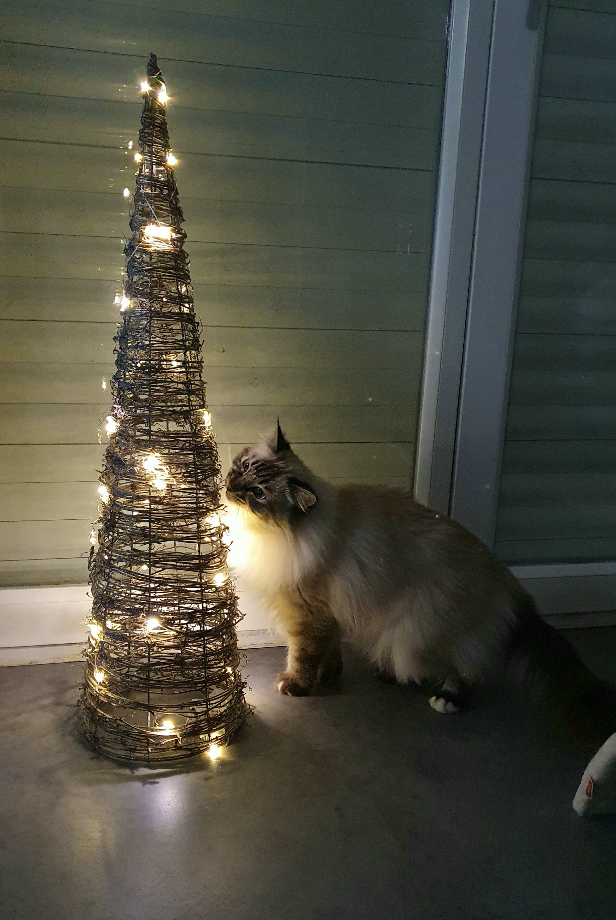 Photo n° 5 de l'avis de Nathalie.U fait le 17/12/2021 à 21:12