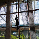 Photo n°1 de l'avis de Mohamad.l fait le 09/08/2022 à 14:44 sur le  Hotel da Carlos à Lucca