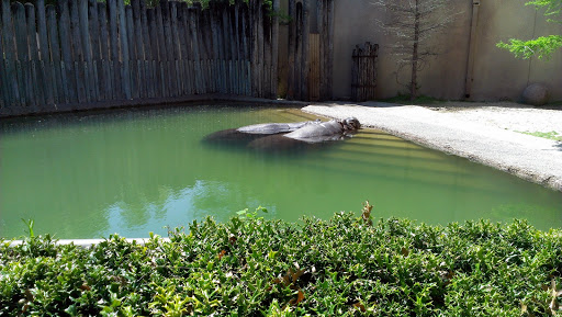 Zoo «Fort Worth Zoo», reviews and photos, 1989 Colonial Pkwy, Fort Worth, TX 76110, USA