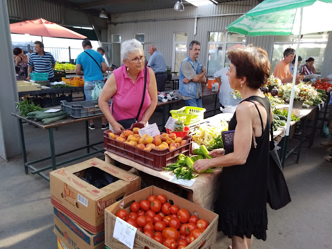 Opinii despre Piața Agroalimentară în <nil> - Magazin de fructe