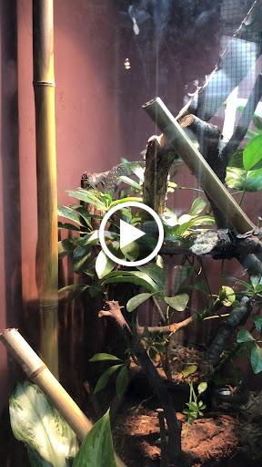 Transit Stop «Dallas Zoo Station», reviews and photos, 614 S. Ewing Avenue, Dallas, TX 75203, USA