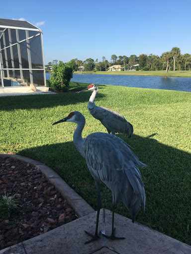 Public Golf Course «The Preserve At Turnbull Bay», reviews and photos, 2600 Turnbull Estates Dr, New Smyrna Beach, FL 32168, USA