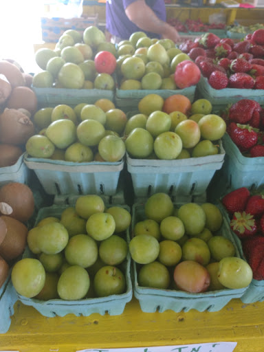 Grocery Store «The Rock Hill Farm Market», reviews and photos, 2751 Cherry Rd, Rock Hill, SC 29730, USA