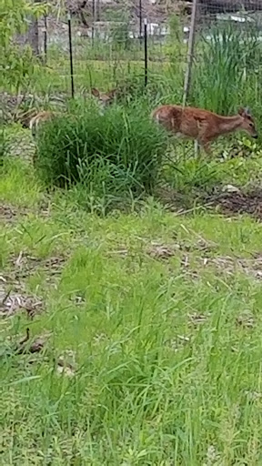 Nature Preserve «Times Beach Nature Preserve», reviews and photos, Coast Guard Station S Rd, Buffalo, NY 14203, USA