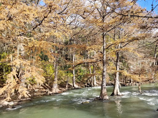 Bar «Gruene Hall», reviews and photos, 1281 Gruene Rd, New Braunfels, TX 78130, USA