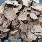 Photo n°3 de l'avis de Jessica.. fait le 05/07/2021 à 20:14 sur le  Ristorante da Baffone à Gubbio