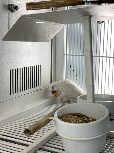 Pet Supply Store «Petco Animal Supplies», reviews and photos, 2561 E Hwy 50, Clermont, FL 34711, USA