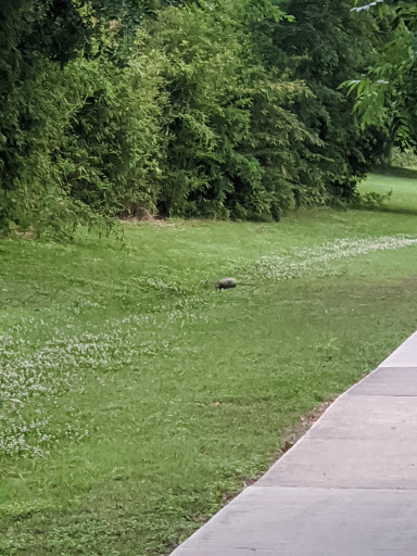 Park «Hurst Community Park», reviews and photos, 601 Precinct Line Rd, Hurst, TX 76053, USA