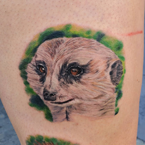 Explore tattoo ideas to fill in gaps, creative tattoo ideas in Caldwell, available at Blue Ring Studio Tattoo & Piercing