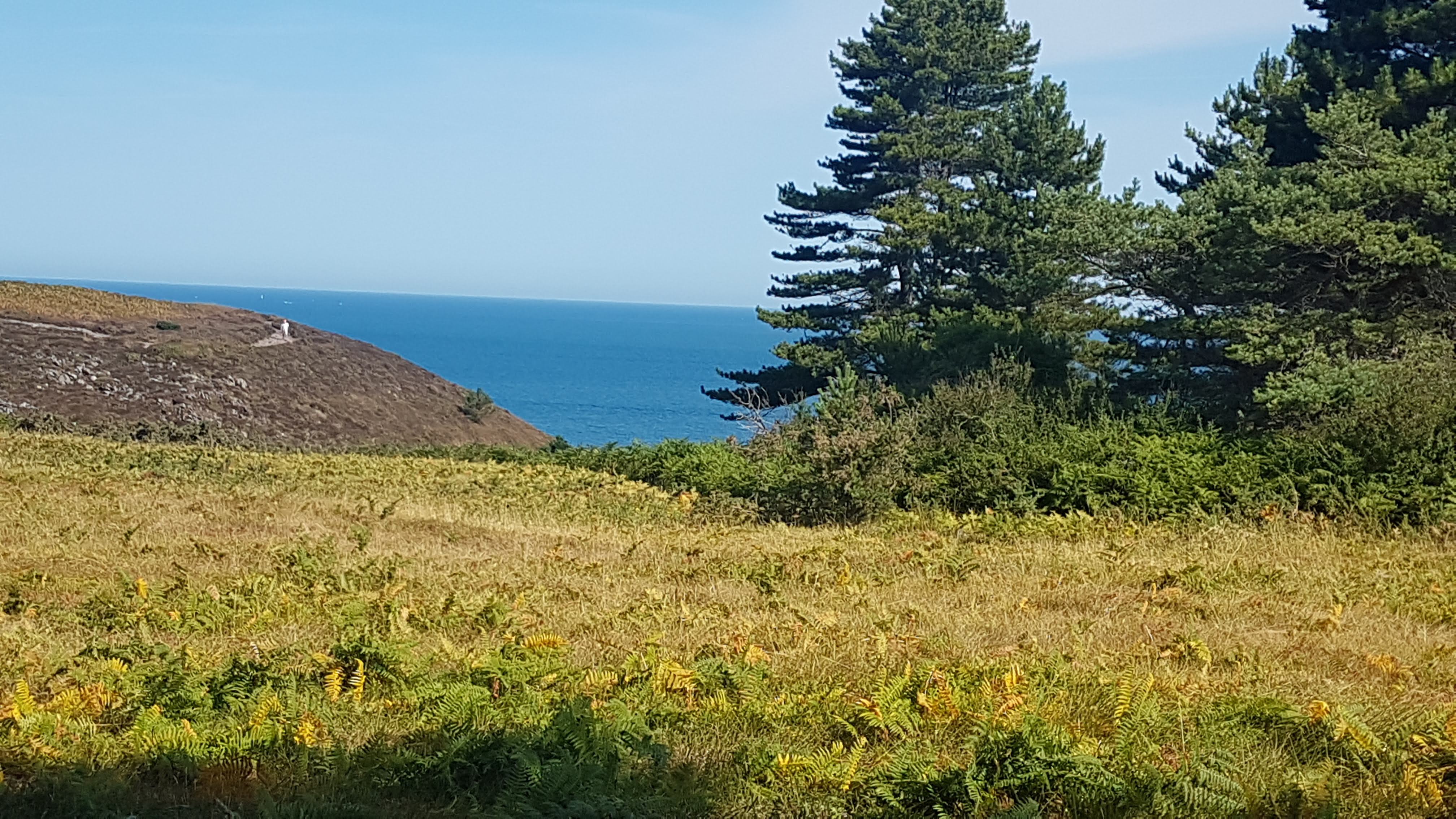 Photo n° 4 de l'avis de Corwin. fait le 17/07/2022 à 17:32