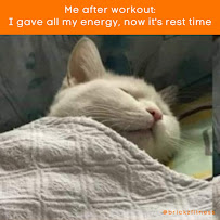 Brickz Fitness - Photo 9 - Car repair in Albuquerque, NM, Albuquerque