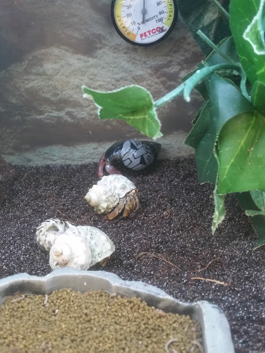 Pet Supply Store «Petco Animal Supplies», reviews and photos, 1901 Madison Ave #610, Mankato, MN 56001, USA