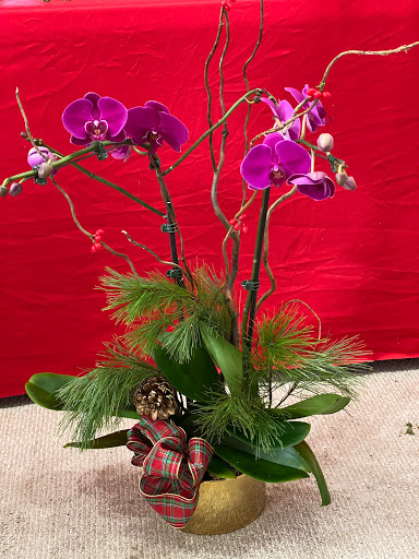 Florist «Cress Florists», reviews and photos, 248-02 Northern Blvd, Little Neck, NY 11362, USA