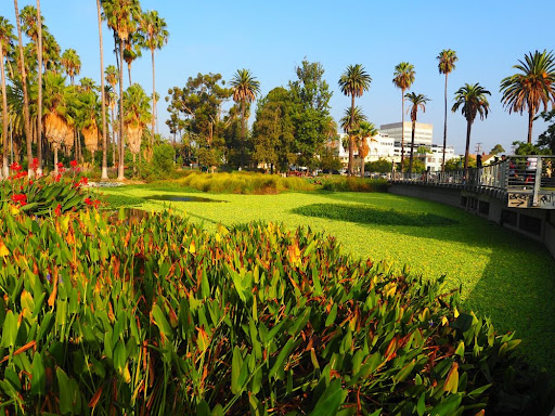 Park «Vista Hermosa Natural Park, Mountains Recreation & Conservation Authority», reviews and photos, 100 N Toluca St, Los Angeles, CA 90026, USA