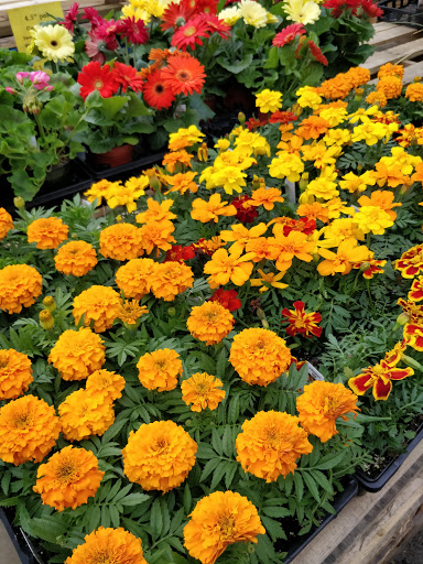 Home Improvement Store «Moorestown True Value Hardware», reviews and photos, 300 Mill St, Moorestown, NJ 08057, USA