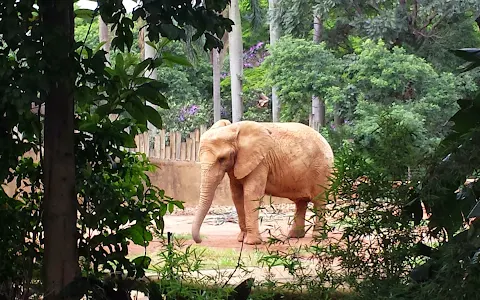 Zoológico de São Paulo image